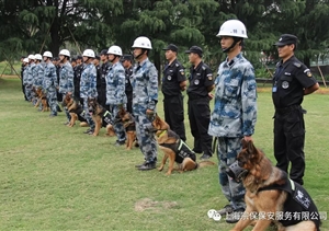 江蘇宿遷警方推“共享保安”模式，可防性案件下降21%
