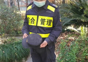 忍辱克制展風(fēng)采 文明規(guī)范獲贊揚(yáng)—閑林城管輔助項(xiàng)目隊員忍辱克制獲