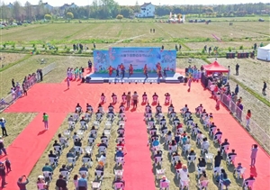 宗保公司協(xié)助完成廊下鎮(zhèn)田野百花節(jié)之草坪風(fēng)箏嘉年華活動(dòng)安保任務(wù)